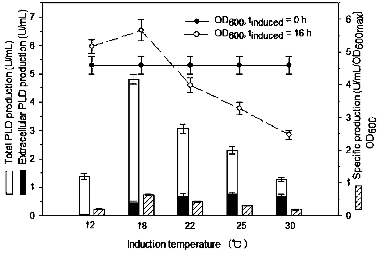 Method for producing phospholipase D through recombinant escherichia coli