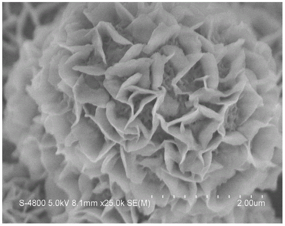 A kind of photocatalyst, its preparation method and application