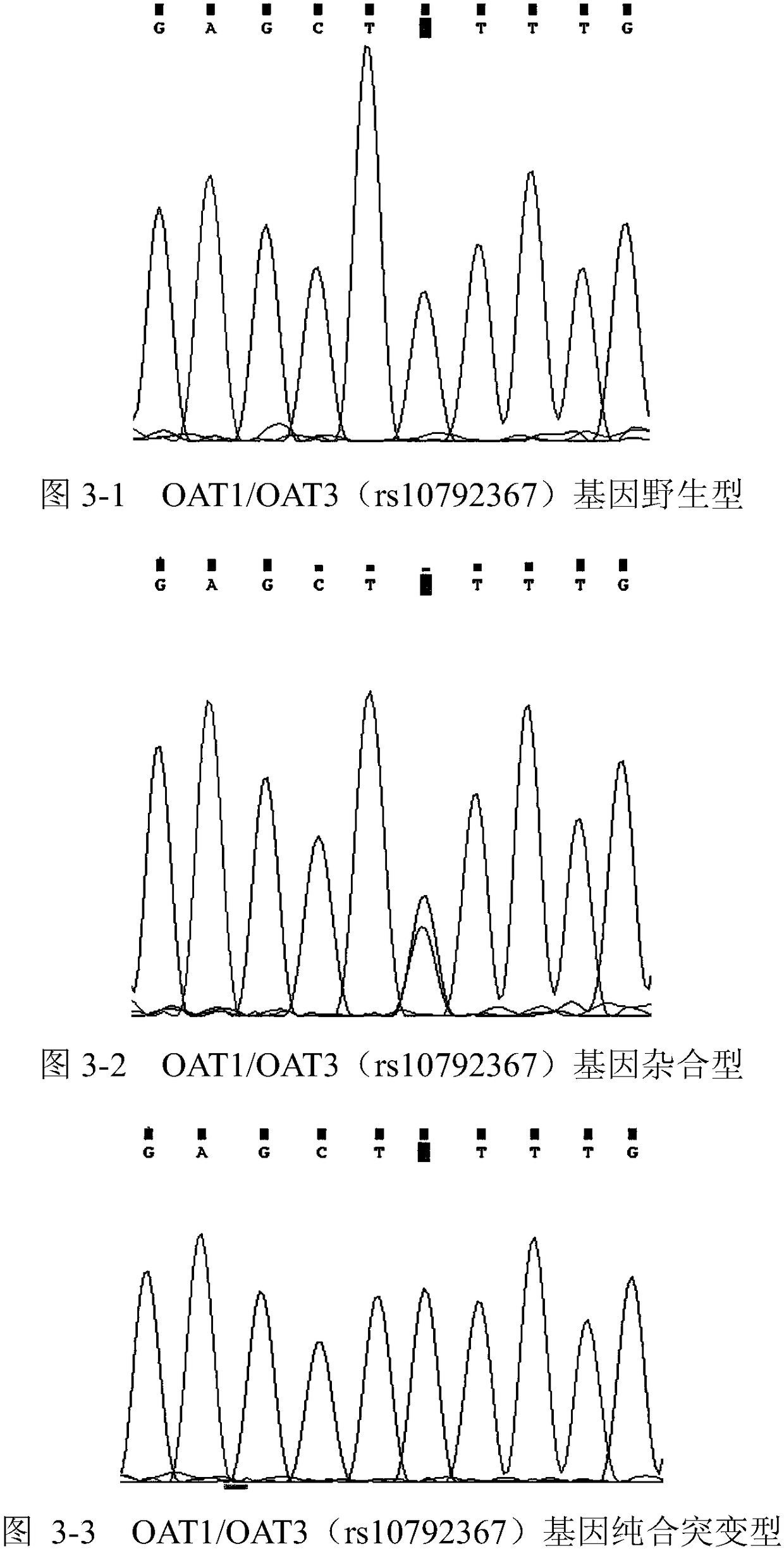 Primer group for detecting hypertension medicine metabolism related genes and reagent kit