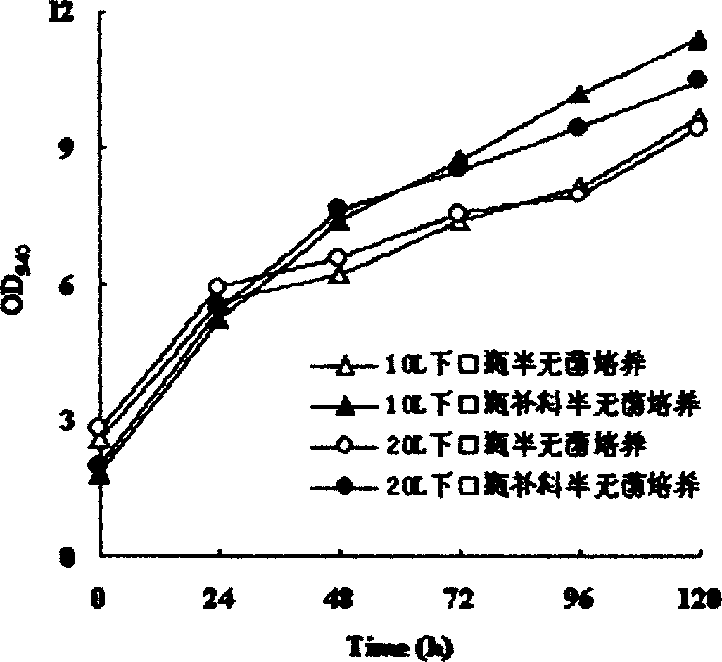 Method for semiaseptic culturing heterotrophic chlorella