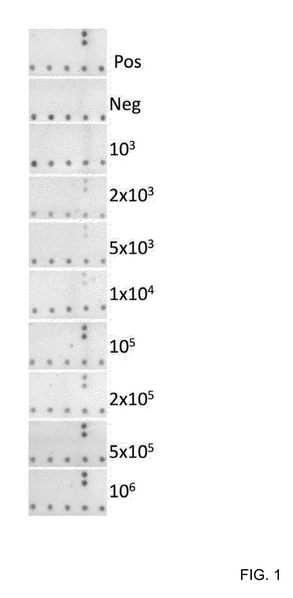 Highly Simplified Lateral Flow-Based Nucleic Acid Sample Preparation and Passive Fluid Flow Control