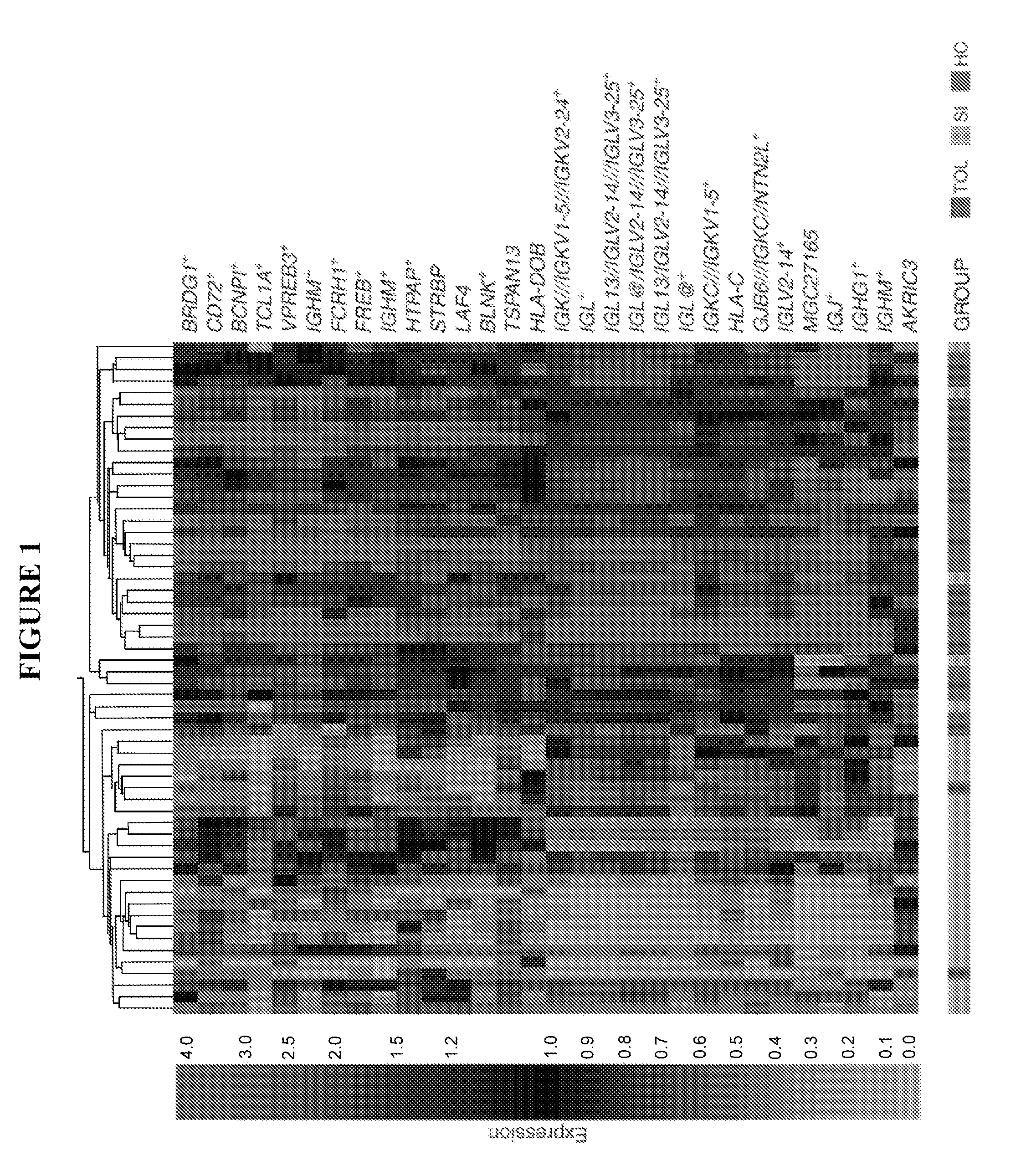 B cell signature associated with tolerance in transplant recipients