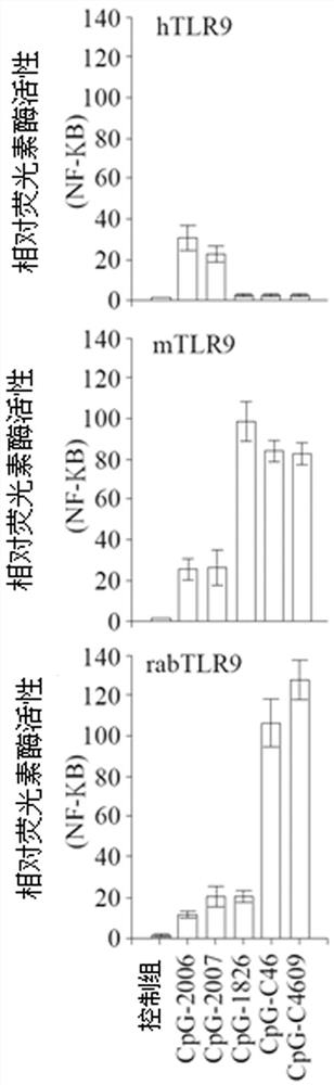 Cpg oligodeoxynucleotide, immune composition comprising same and application of composition for preparation of medicine for stimulating immune response