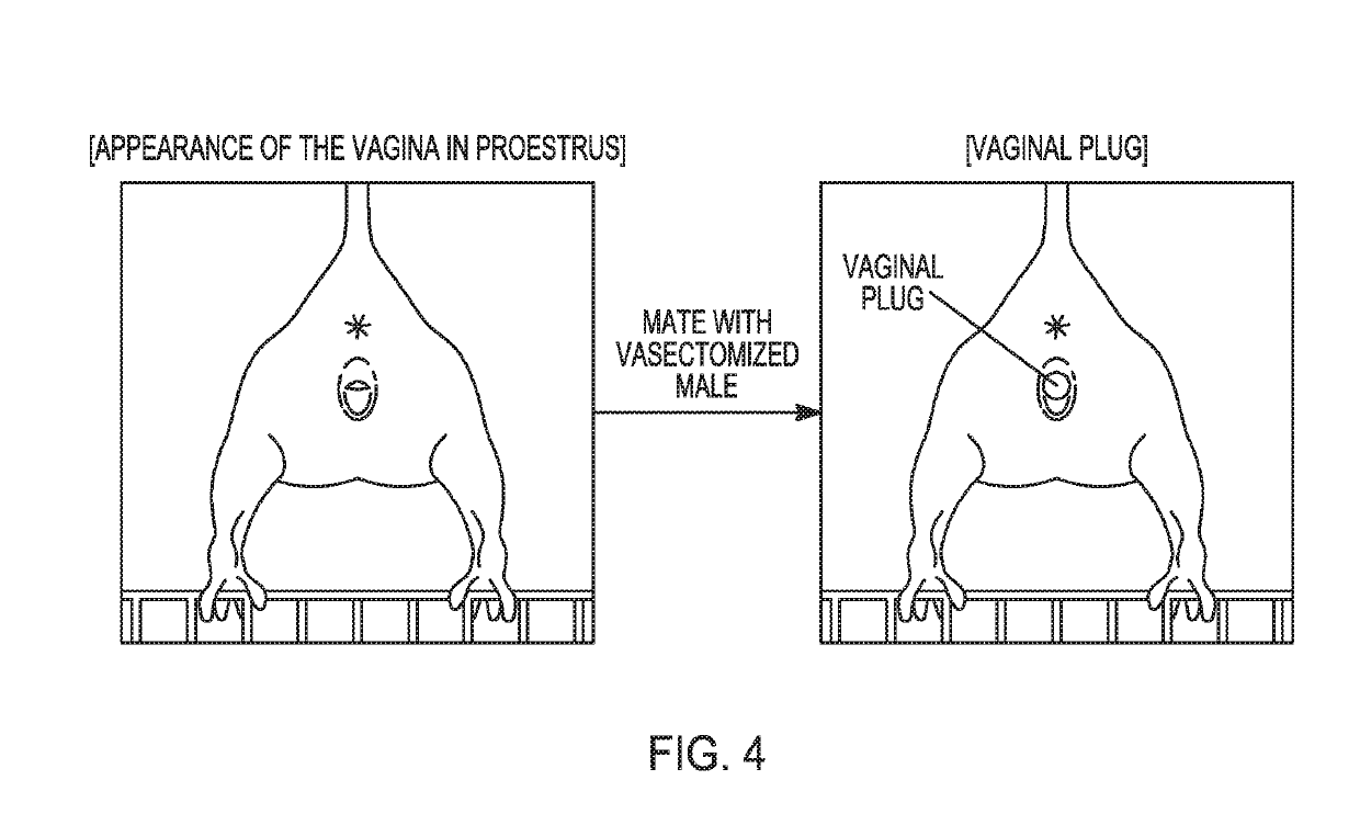 Method to prepare sperm