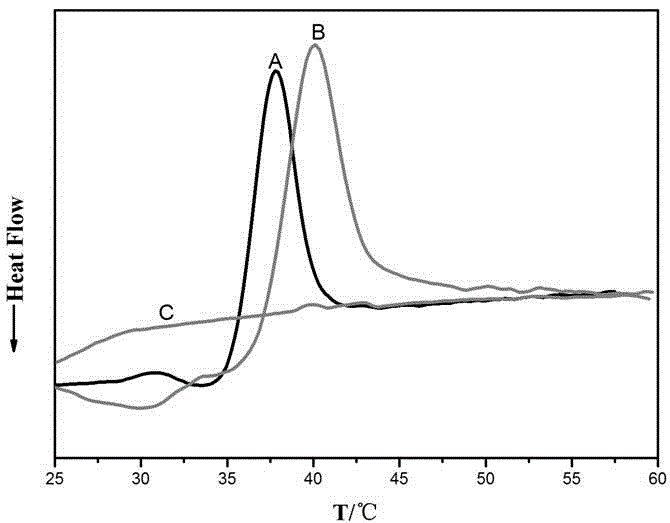 Oxidation chitosan graft modified porcine dermal collagen micro-nano fiber membrane and preparation method thereof