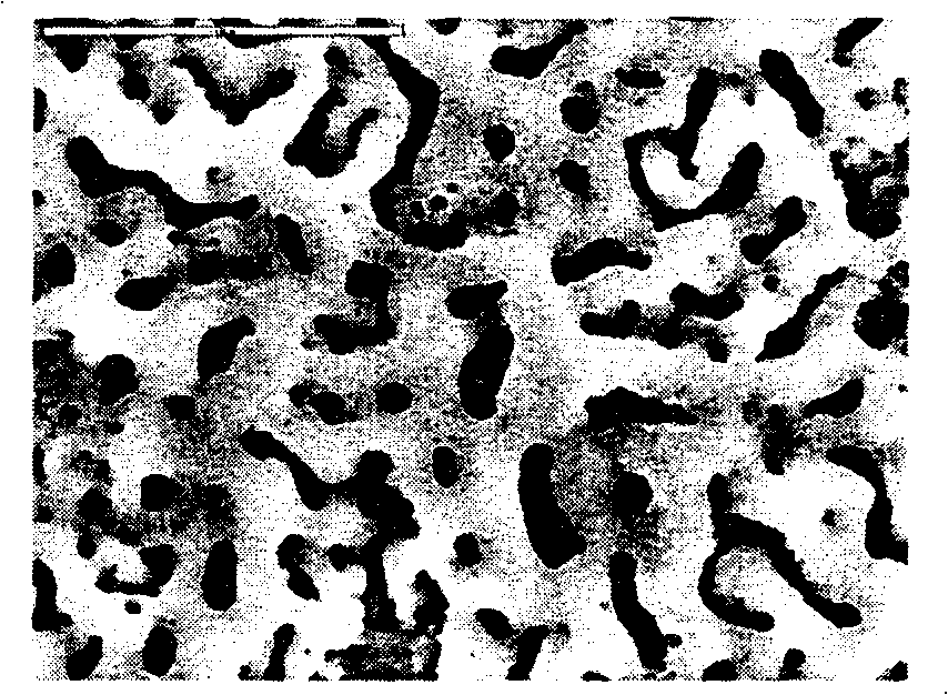 Bioactive coating on surface of Titanium or titanium alloy and its preparing method