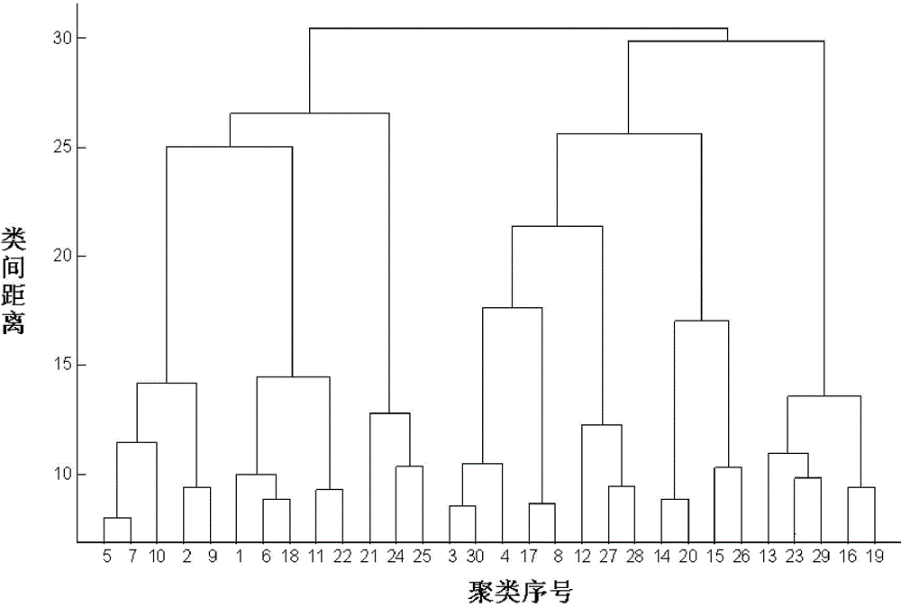 Wind power forecasting method dividing based on weather process