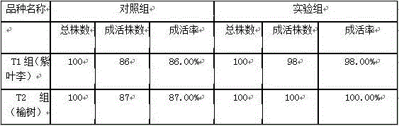 Tree growth promotion fertilizer, and preparation method and sprinkling device thereof