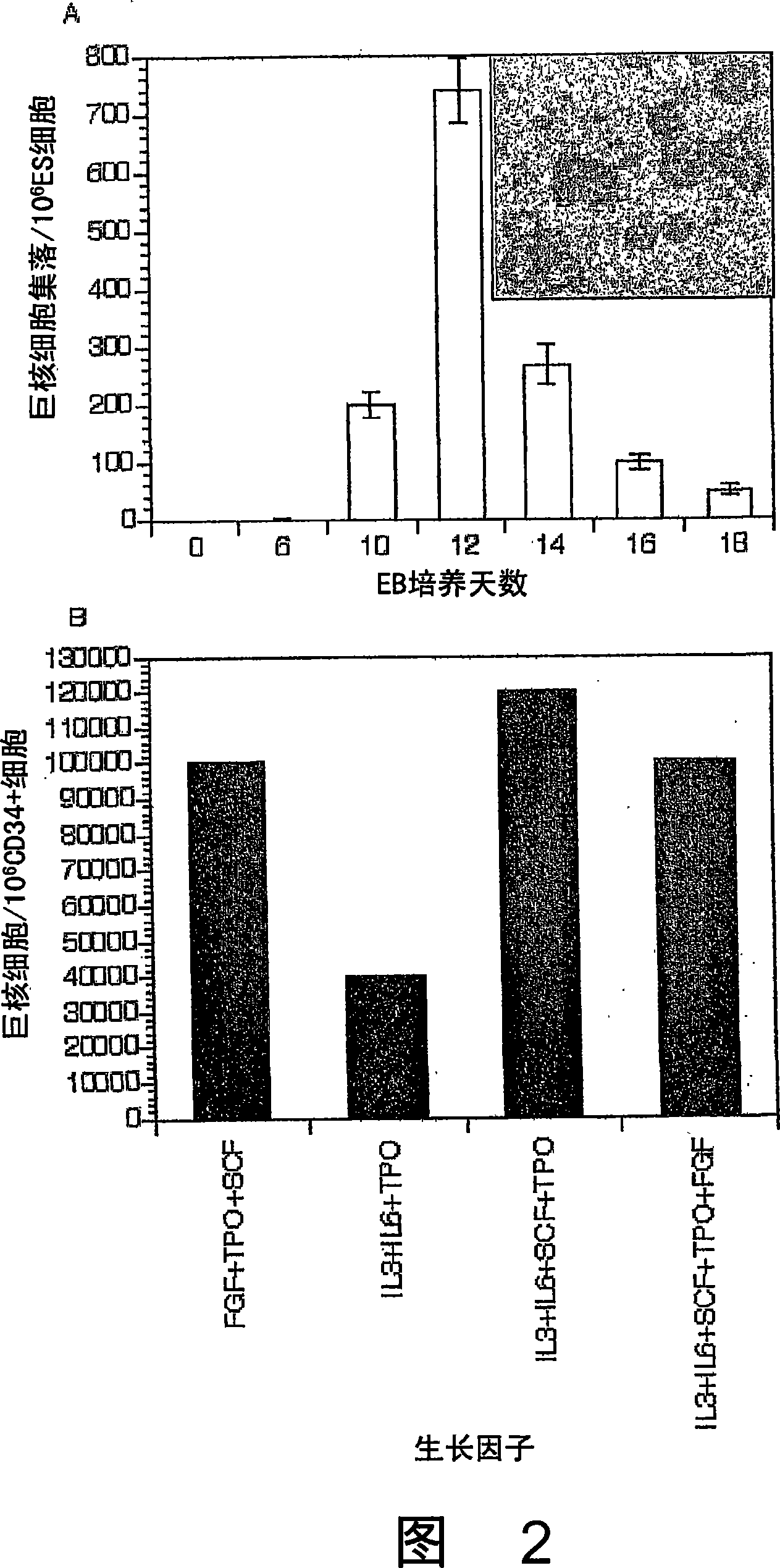 Platelets from stem cells