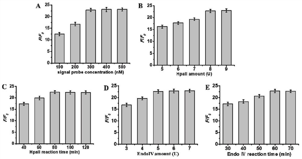 Fluorescent biosensor for detecting DNA methylation, and detection method and application thereof