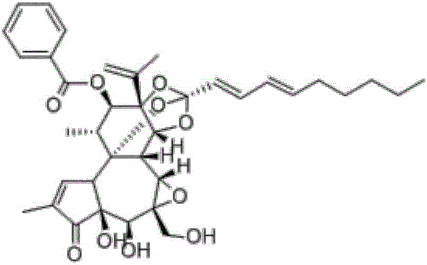 Dry powder inhalant with lung cancer-resistant activity