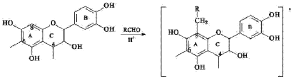 Method for preparing oligomeric proanthocyanidins