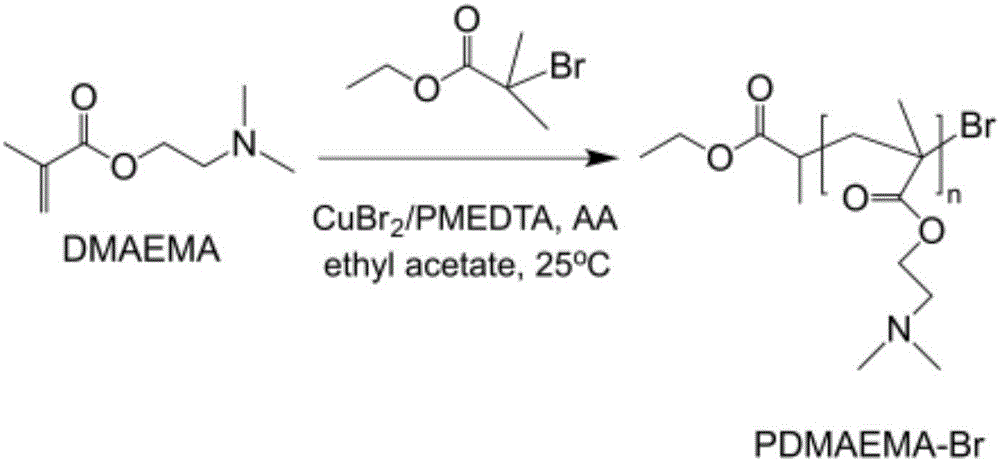 Environmental response type cationic polymer for active dye salt-free dyeing and preparation method thereof