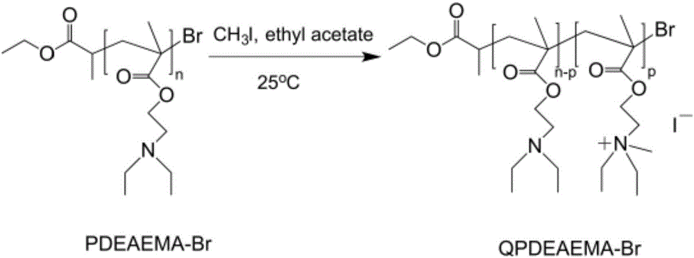 Environmental response type cationic polymer for active dye salt-free dyeing and preparation method thereof