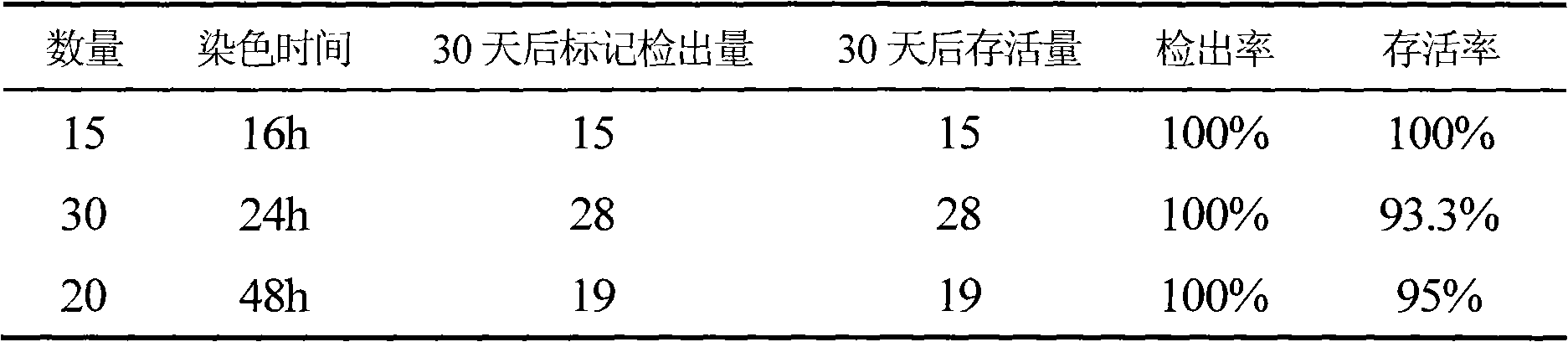 Method for marking stichopus japonicus individual and detecting mark