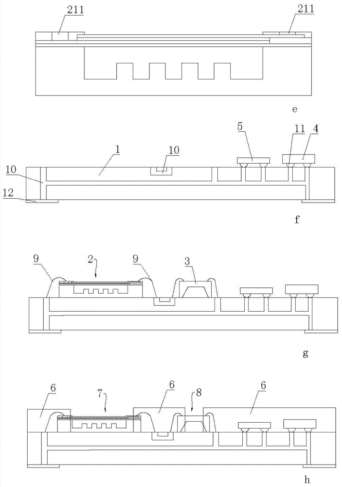 Hydrophone integrated module and manufacturing process thereof