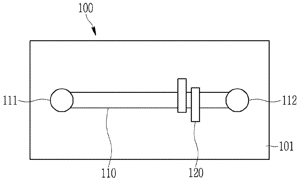 Single point detection type microfluidic isoelectric focusing assay and chips using the same