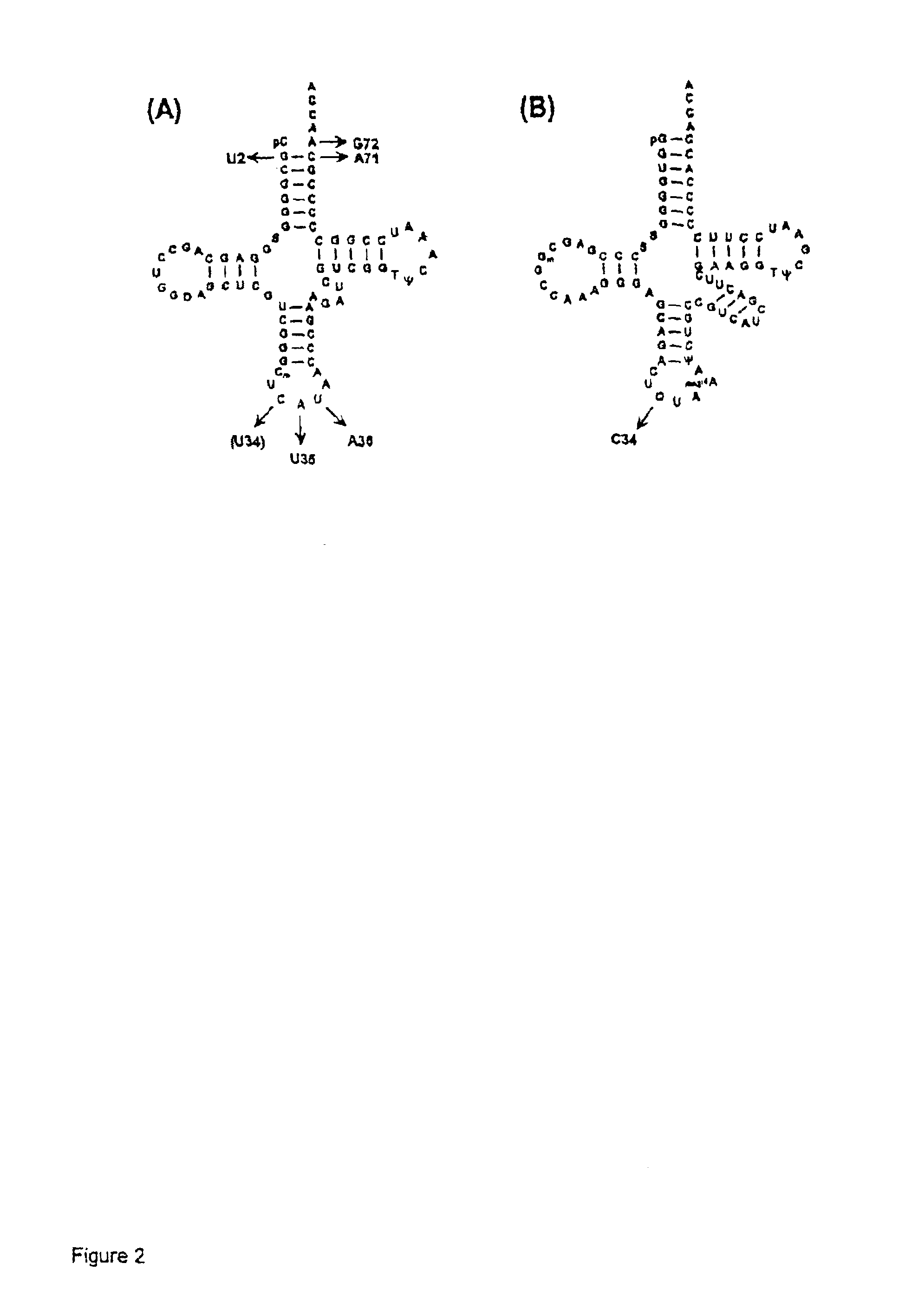 Suppressor tRNA system