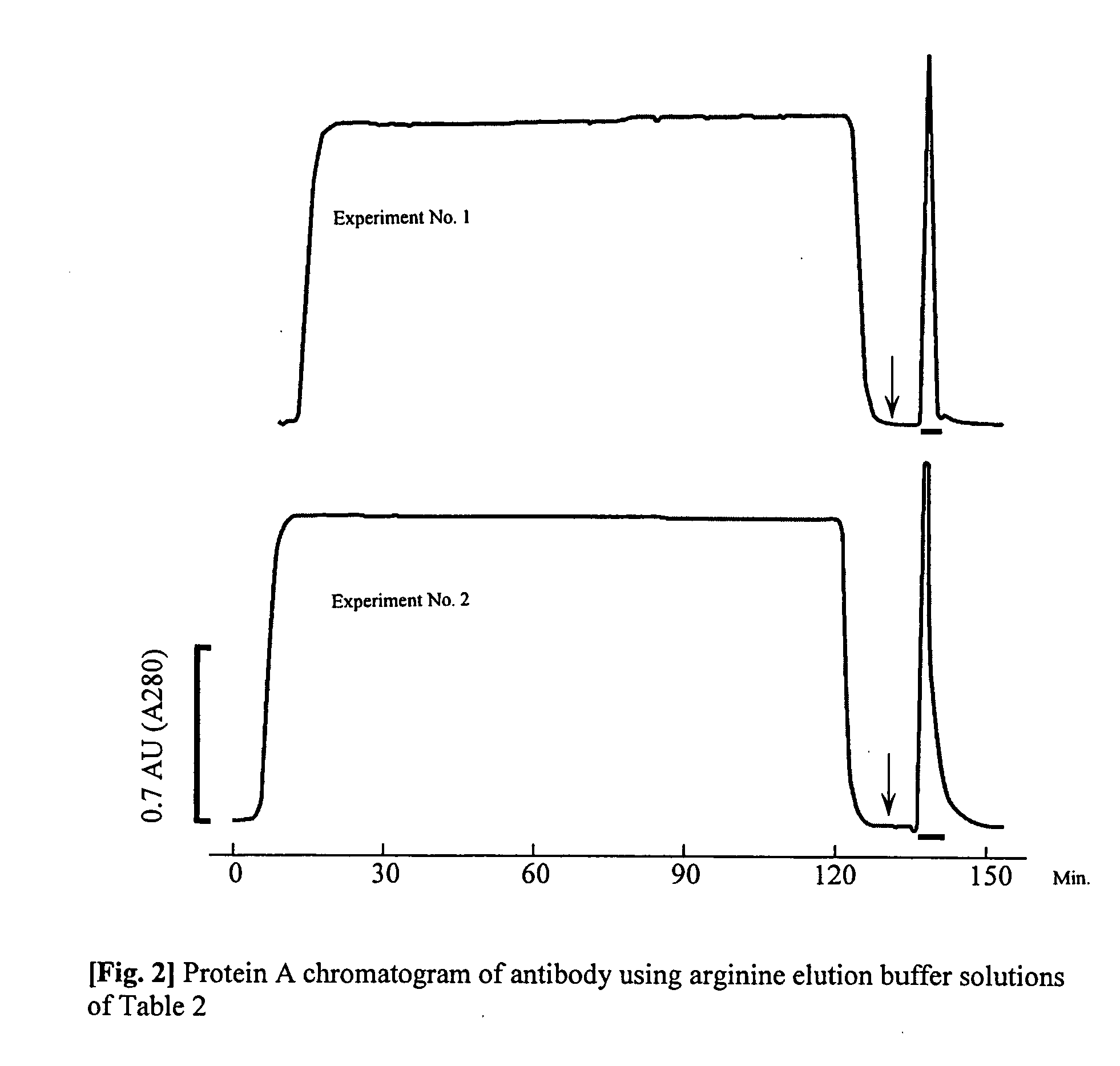 Purification method which prevents denaturation of an antibody