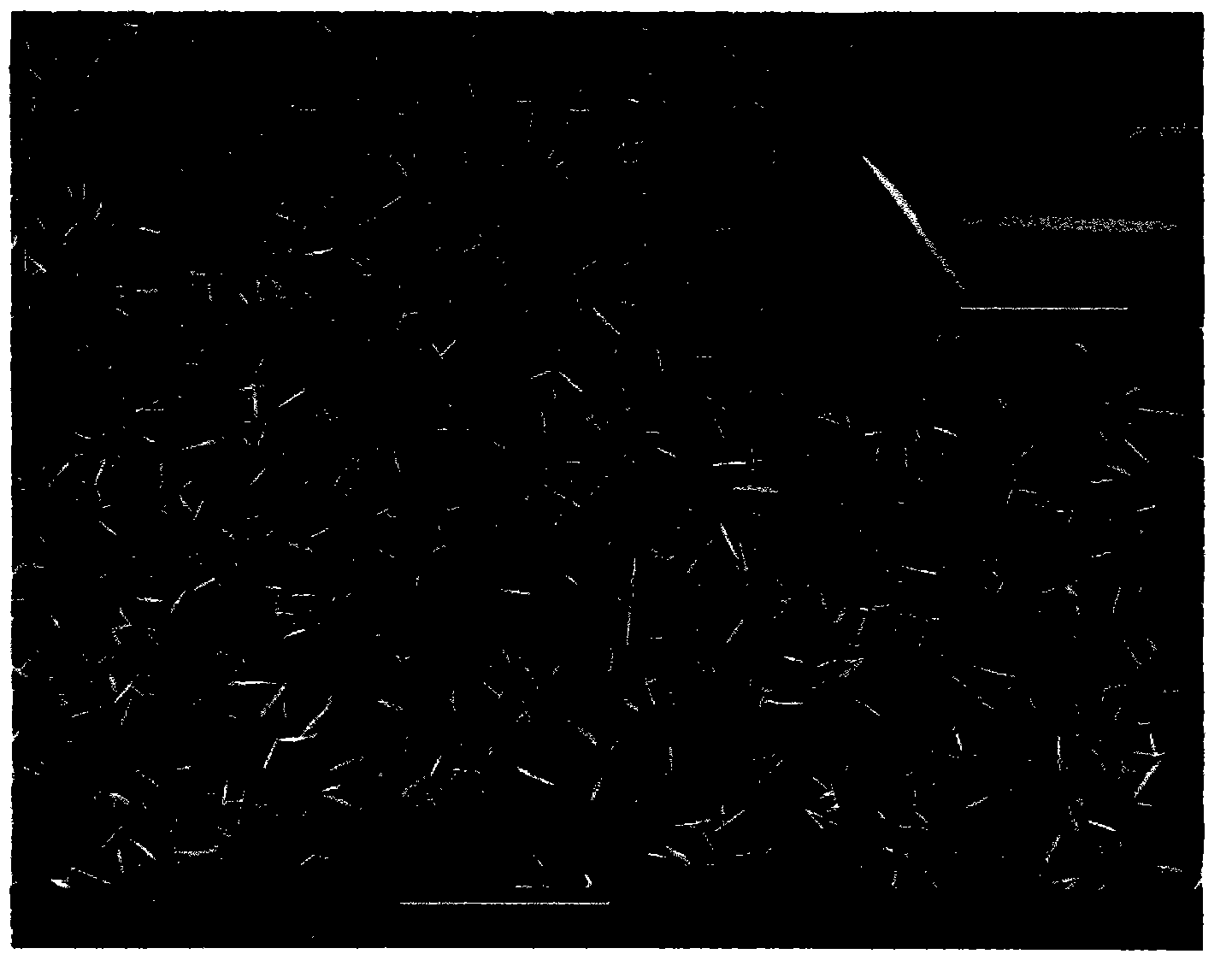 Two-dimensional noble metal nanometer material and preparation method thereof