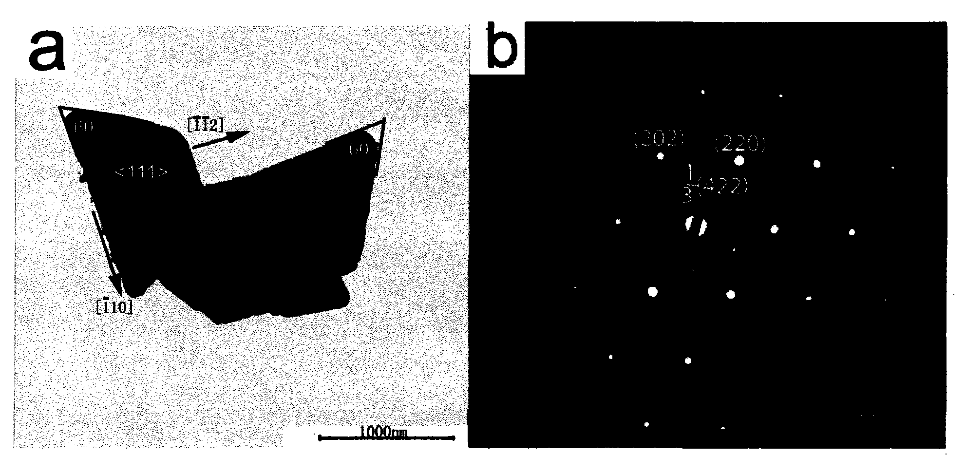 Two-dimensional noble metal nanometer material and preparation method thereof