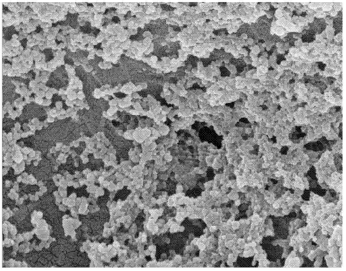 Method for preparing collagen-modified bacteria cellulose compound film