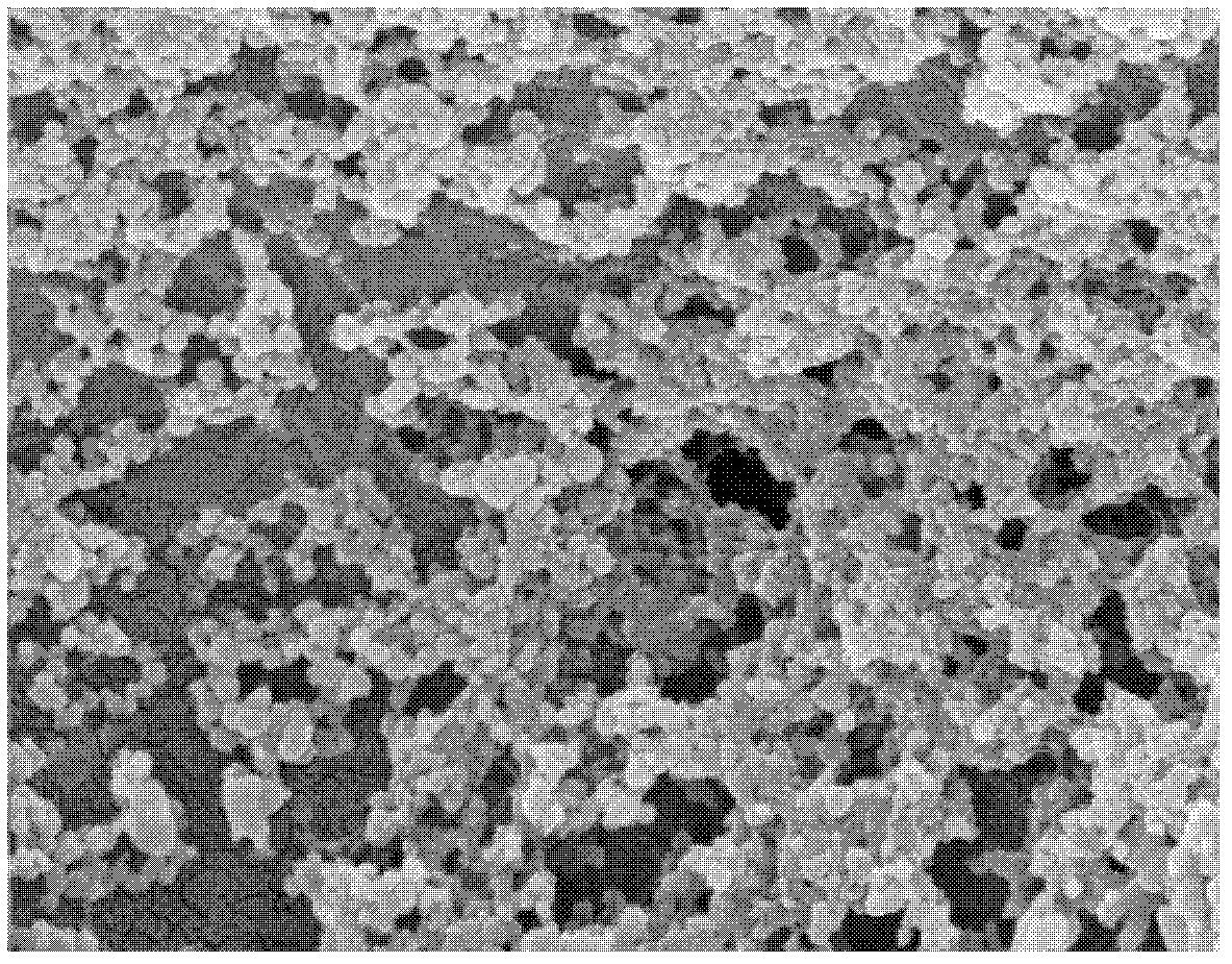 Method for preparing collagen-modified bacteria cellulose compound film