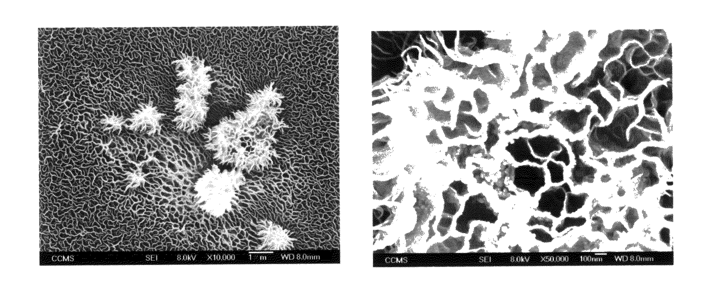 Composite field emission source