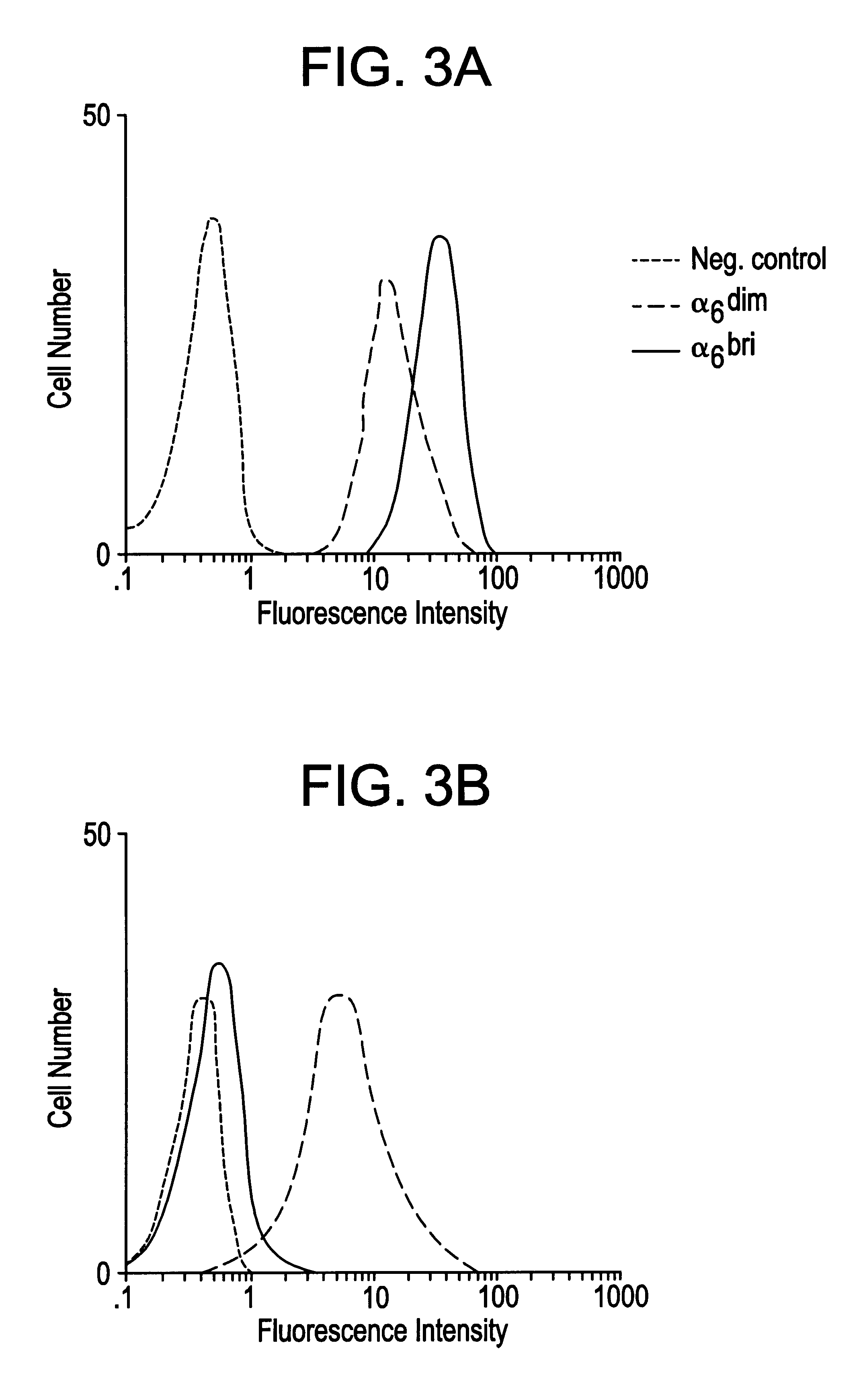 Keratinocyte stem cells