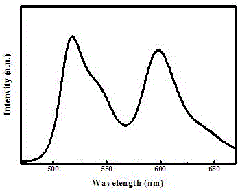 Rare-earth-free fluorescent powder for white light LED and preparation method of rare-earth-free fluorescent powder