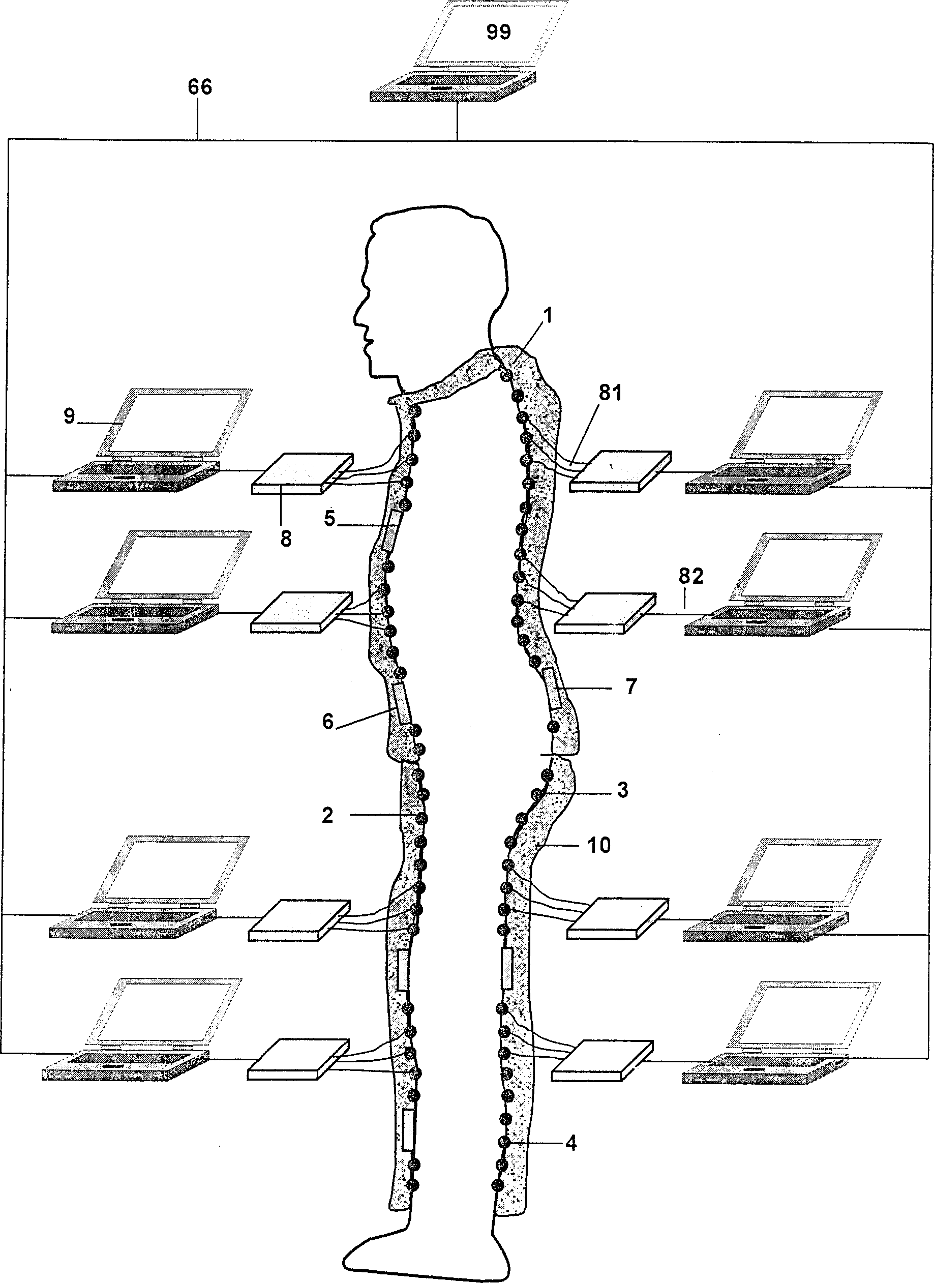 Digitized system for human body information acquisition and analysis processing