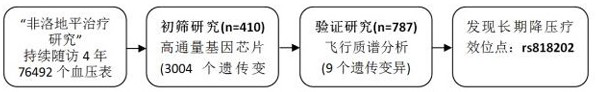 Application of SNP locus of CDA gene