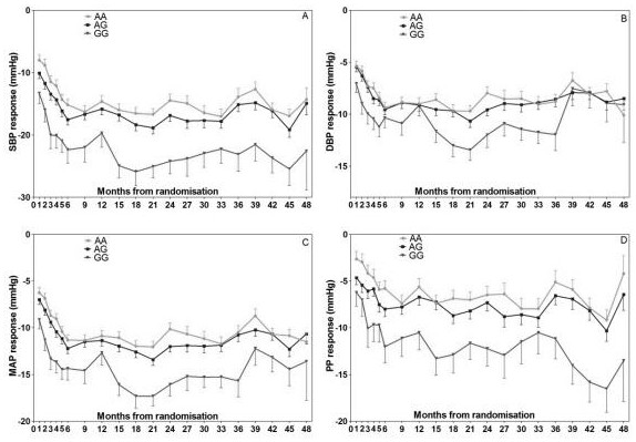 Application of SNP locus of CDA gene