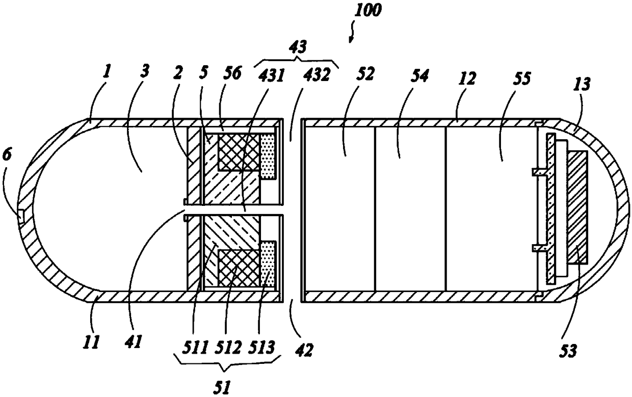 Sampling capsule and sampling capsule system