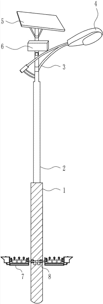 Plantable type solar street lamp