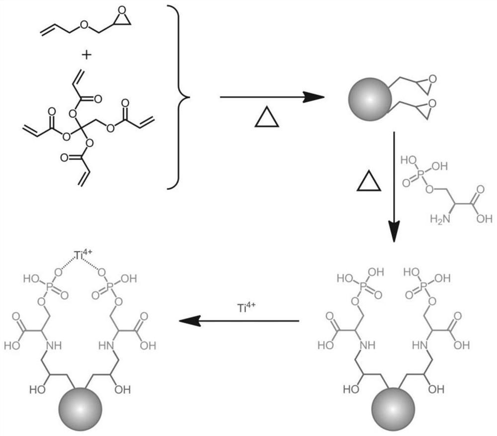 Immobilized metal ion affinity chromatography microsphere material as well as preparation and application thereof