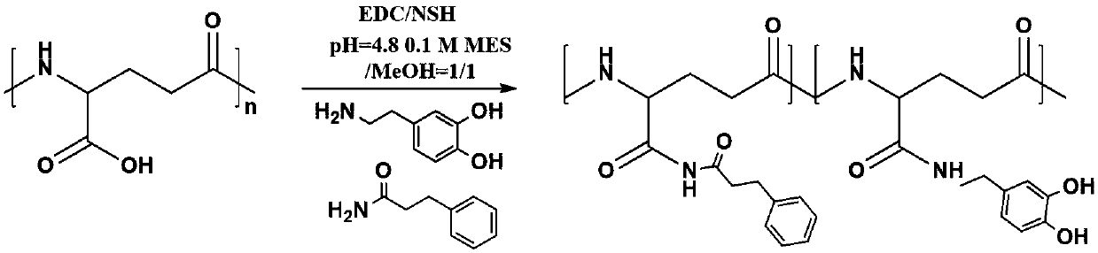 Blood protein responsive type gamma-PGA (polyglutamic acid) hydrogel hemostasis material as well as preparation method and application thereof