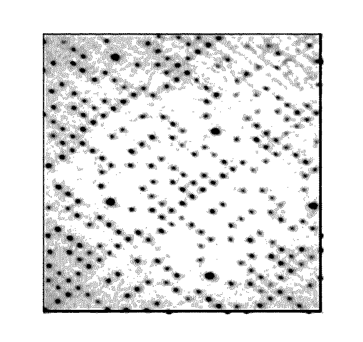 Decoding method for matrix two-dimensional code