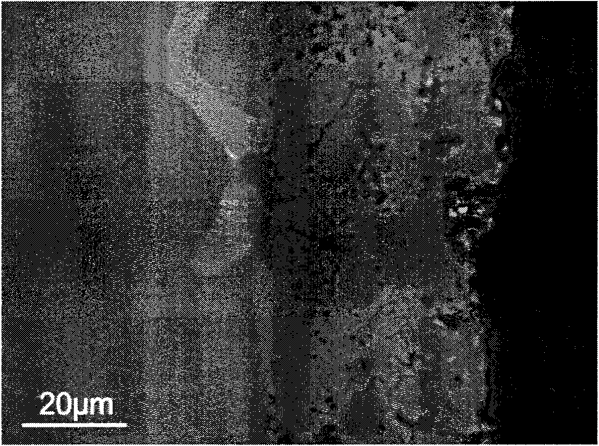 Method for preparing dense fluoride ceramic films on magnesium surface and magnesium alloy surface