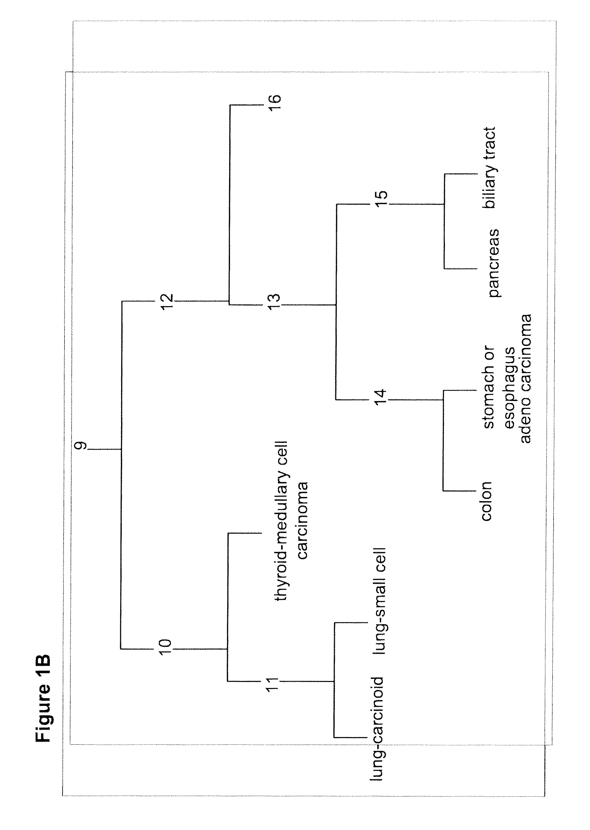 Gene expression signature for classification of tissue of origin of tumor samples