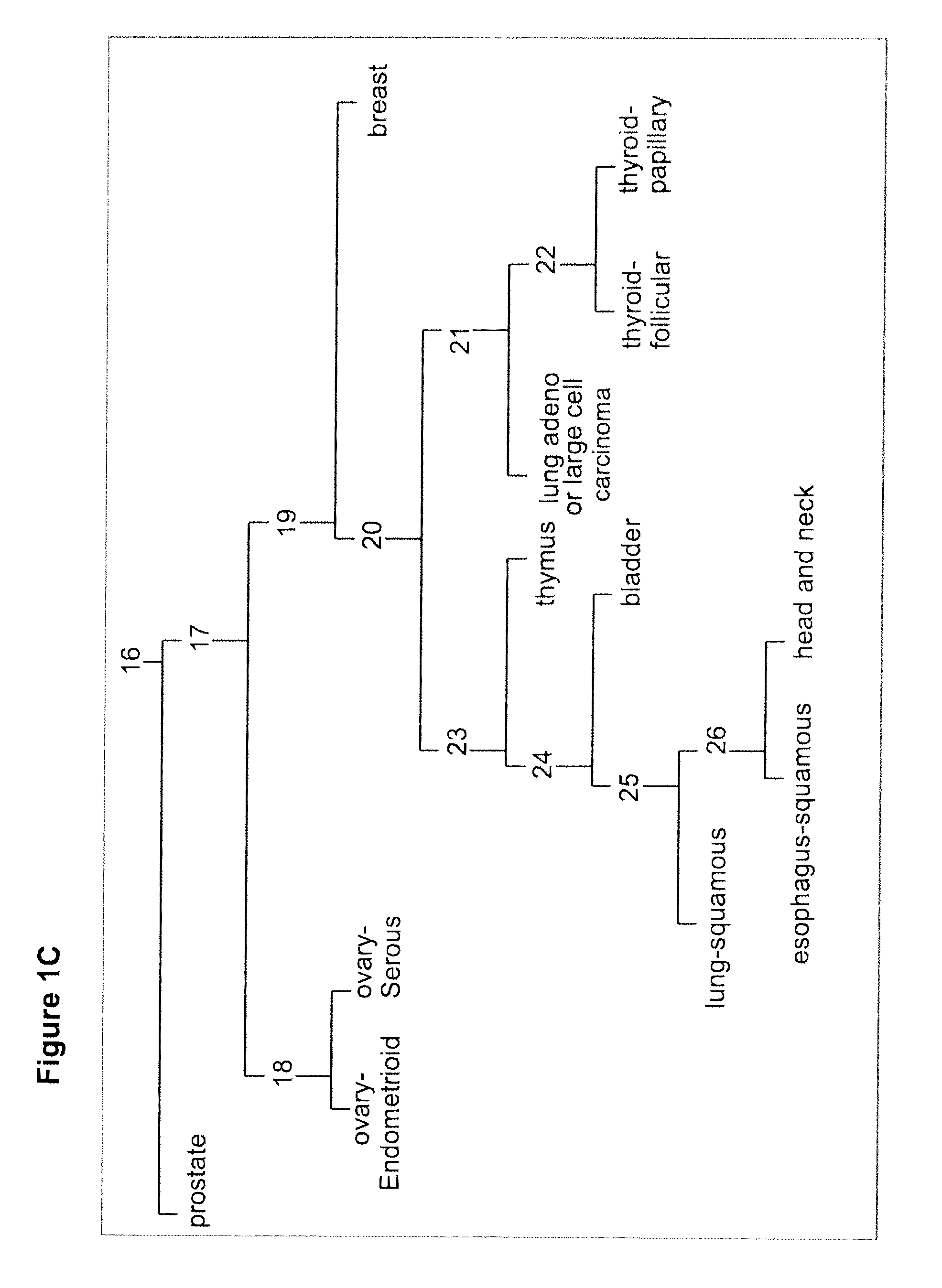 Gene expression signature for classification of tissue of origin of tumor samples