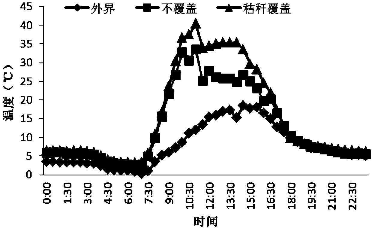 Secondary-bearing viticulture method