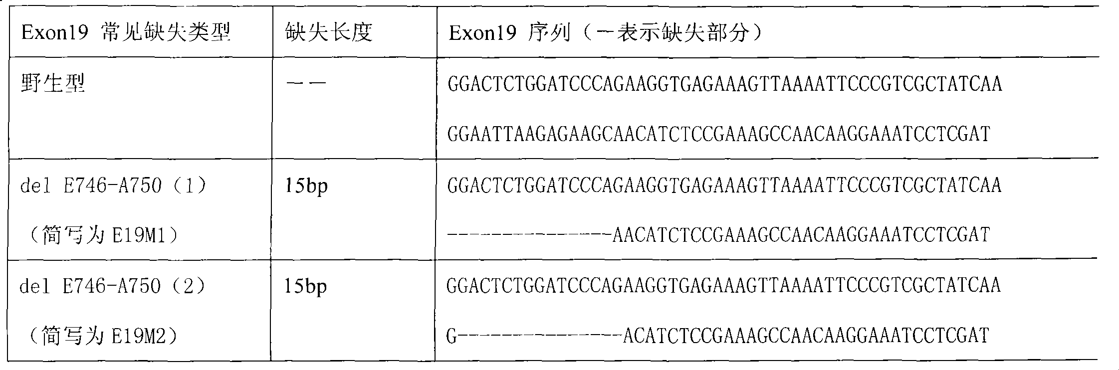 Detection probe, liquid phase chip and detection method thereof for EGFR gene mutation sites