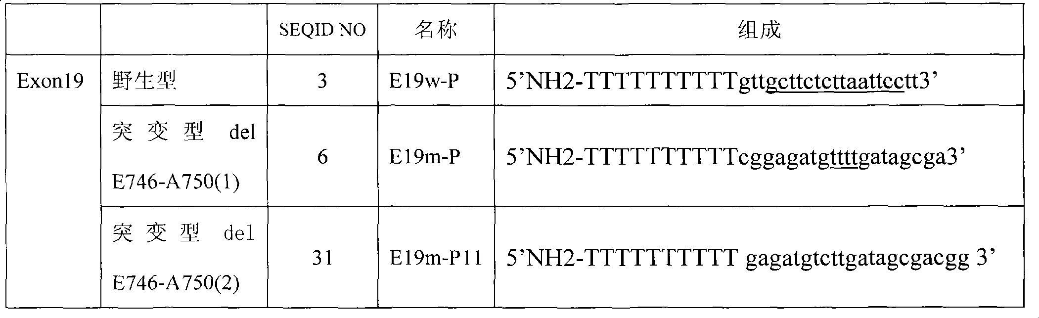 Detection probe, liquid phase chip and detection method thereof for EGFR gene mutation sites