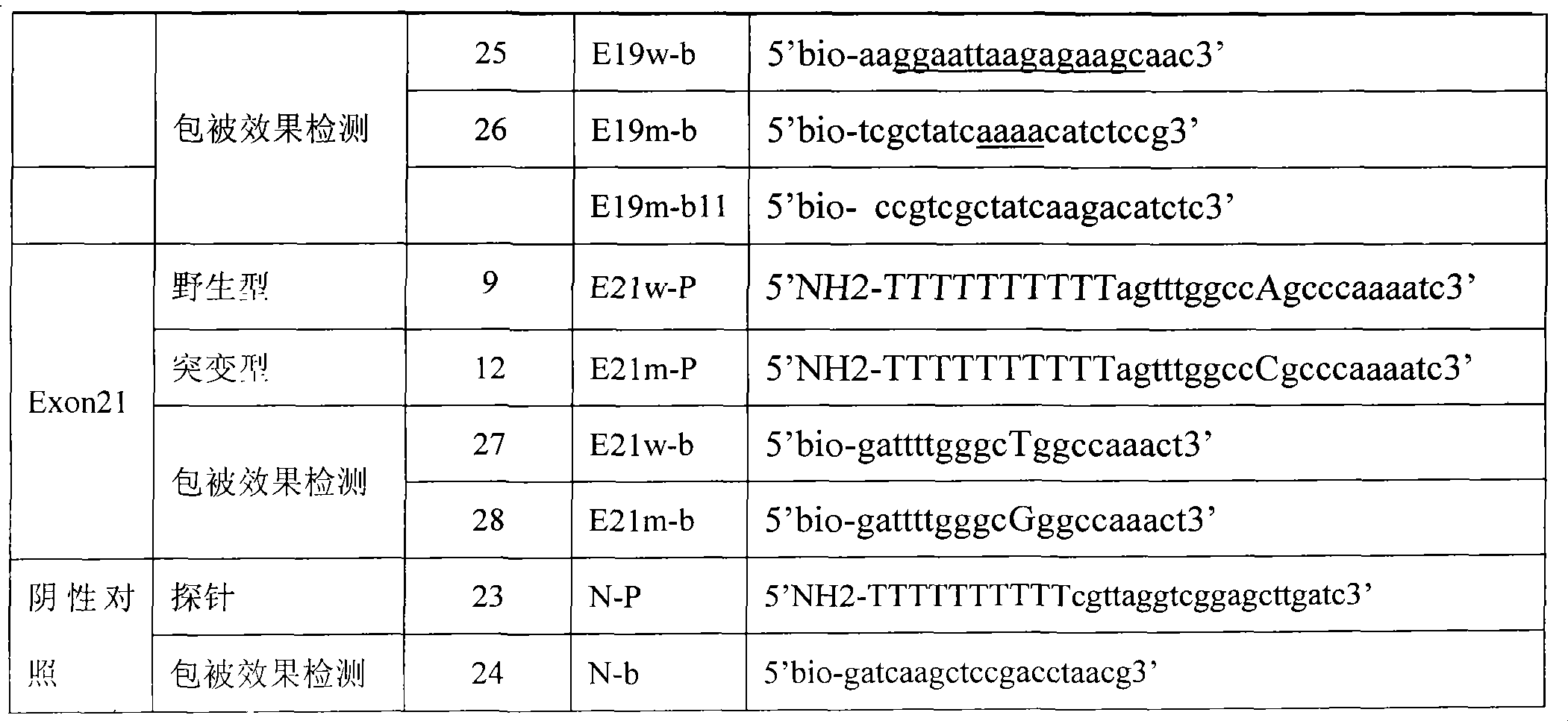 Detection probe, liquid phase chip and detection method thereof for EGFR gene mutation sites