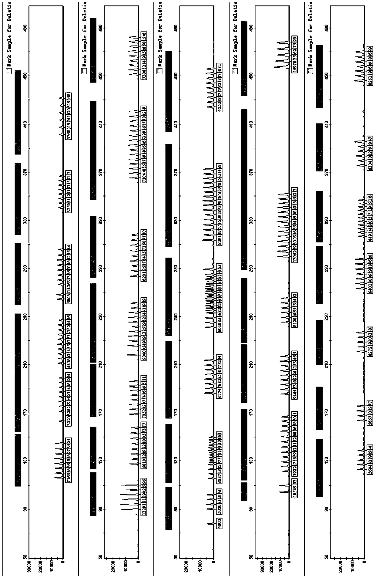 Fluorescence-labeled multiplex amplification kit for simultaneously amplifying human autosome and y-chromosome str loci and its application