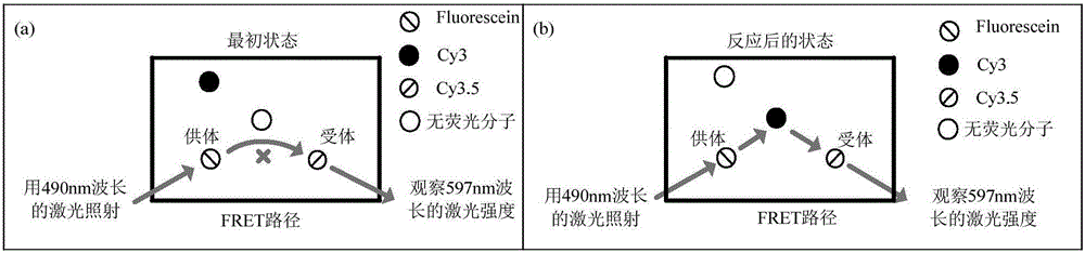 Phototonus logical circuit design method based on SST nanometer platform