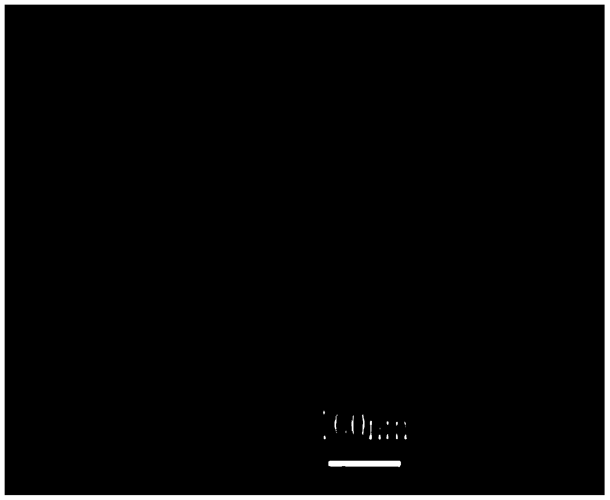 Sharpening method for probe tip of atomic force microscope