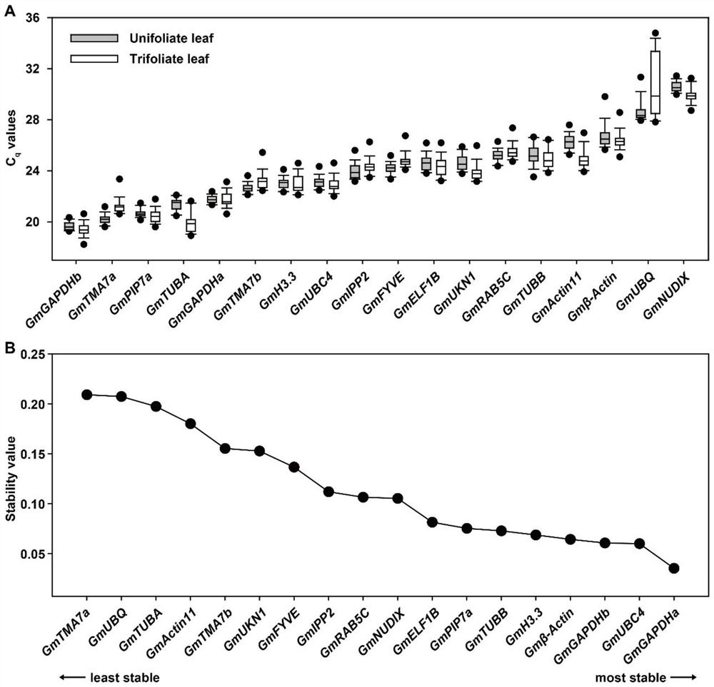 Soybean reference gene as well as detection primer and application thereof