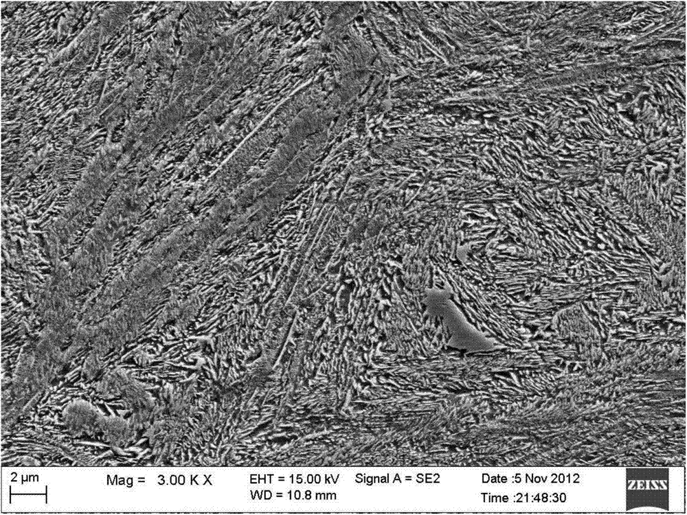 High-hardenability big-diameter 65MnCr grinding ball and preparation method thereof